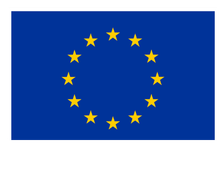 European Union flag